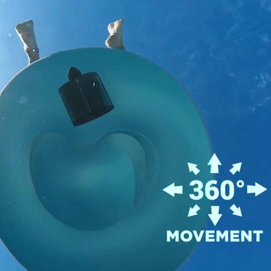 PoolCandy 48" Blue Motorized Tube Runner